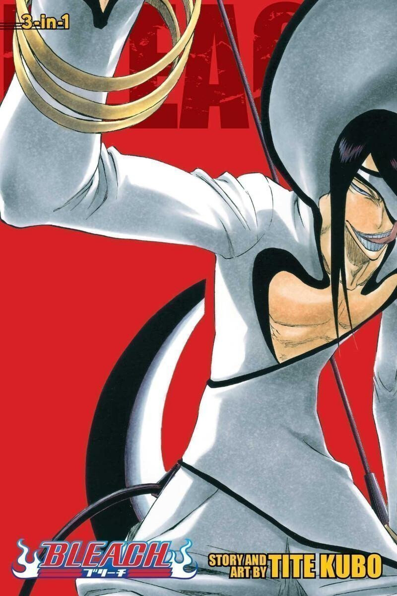 Kniha Bleach 11