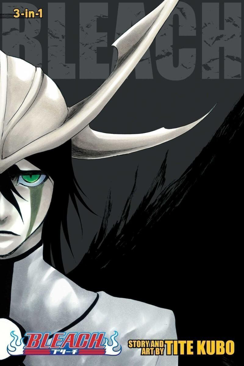 Kniha Bleach 14
