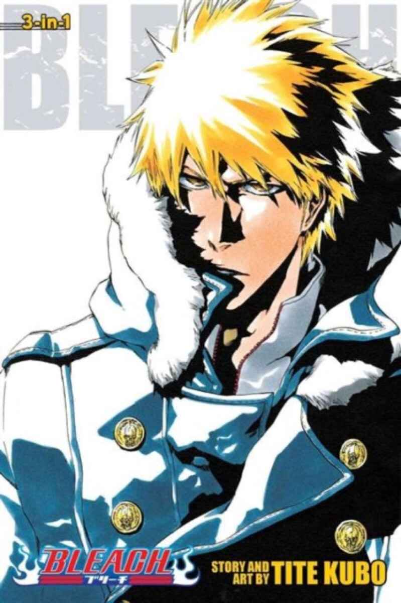 Bleach , Vol. 17 - Tite Kubo