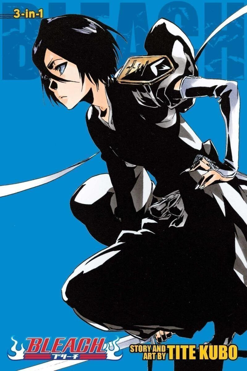 Kniha Bleach 18
