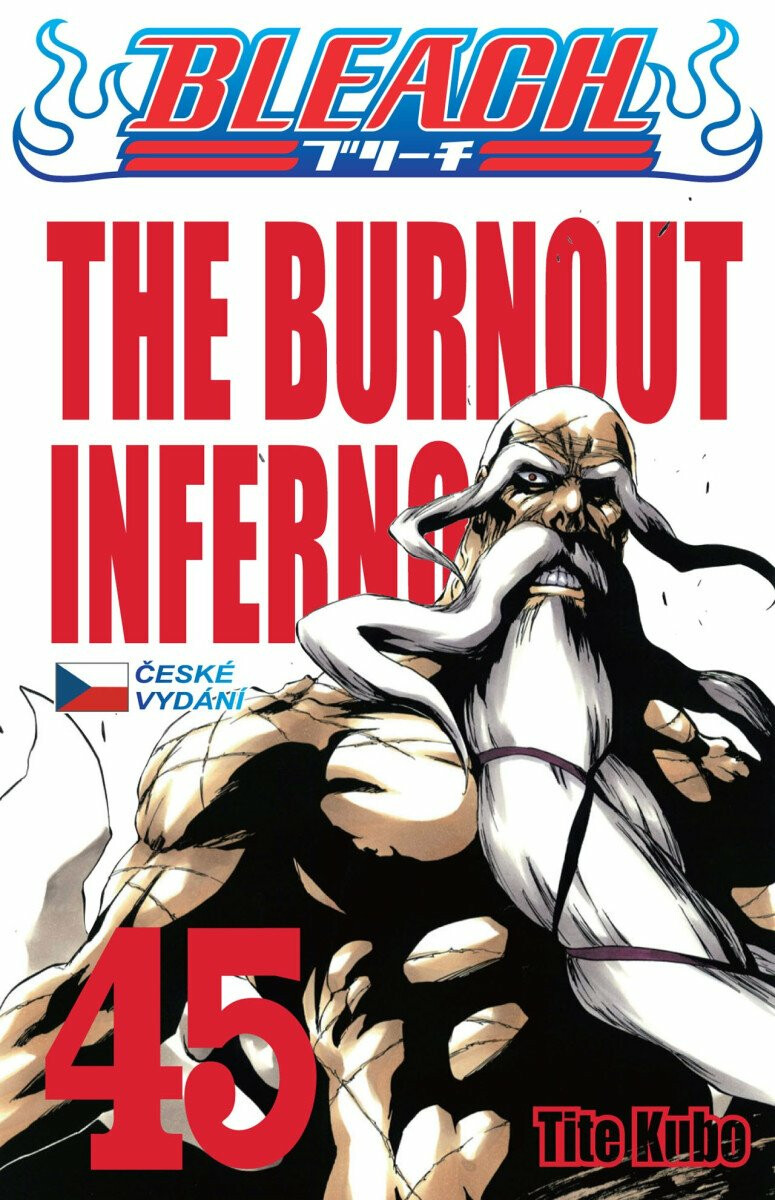 Kniha Bleach 45: The Burnout Inferno