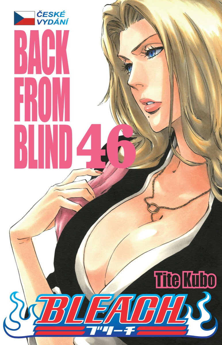 Kniha Bleach 46: Back From Blind