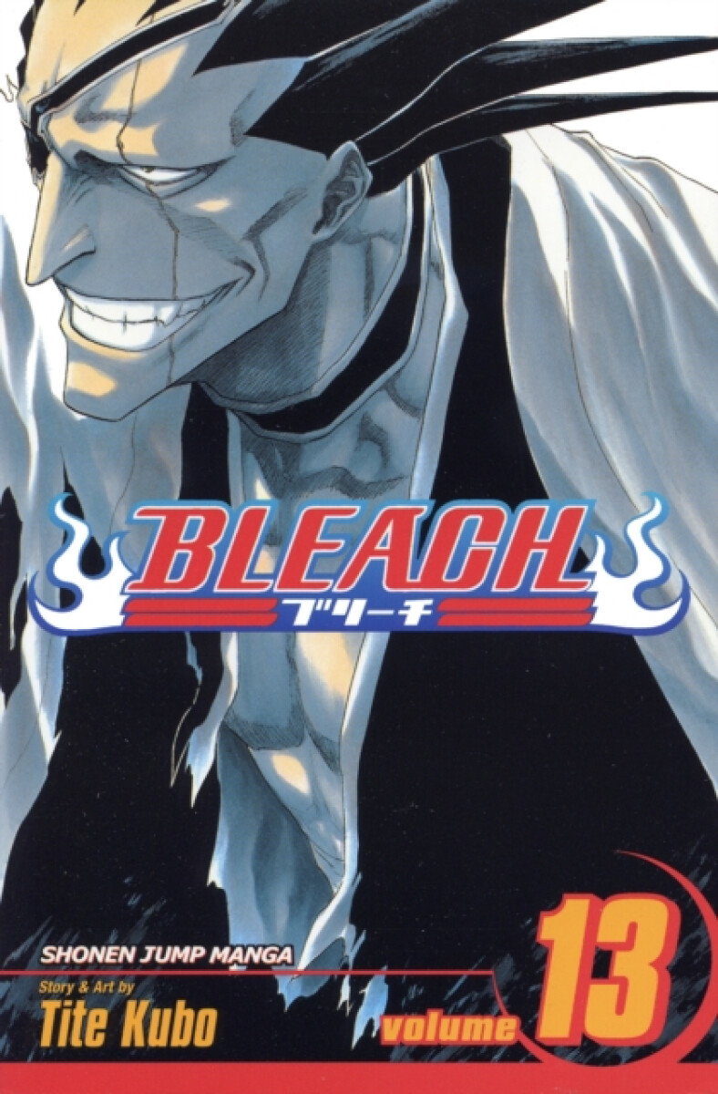 Kniha Bleach, Vol. 13