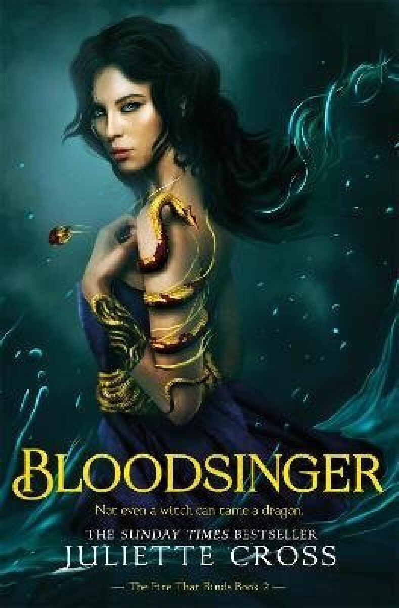 Kniha Bloodsinger