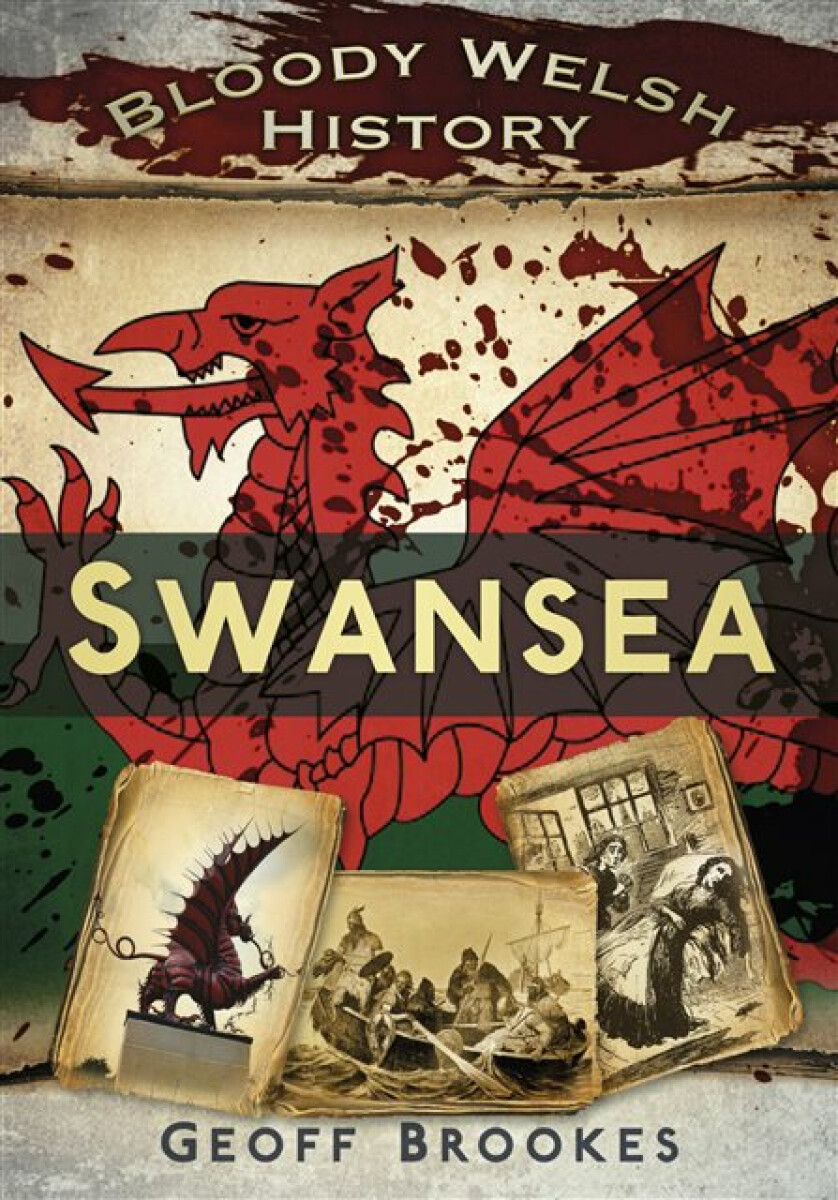 Kniha Bloody Welsh History: Swansea