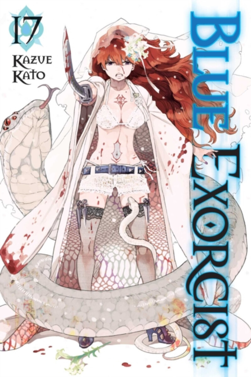 Kniha Blue Exorcist, Vol. 17