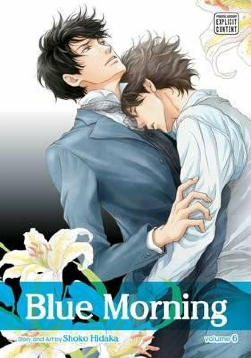 Kniha Blue Morning, Vol. 6