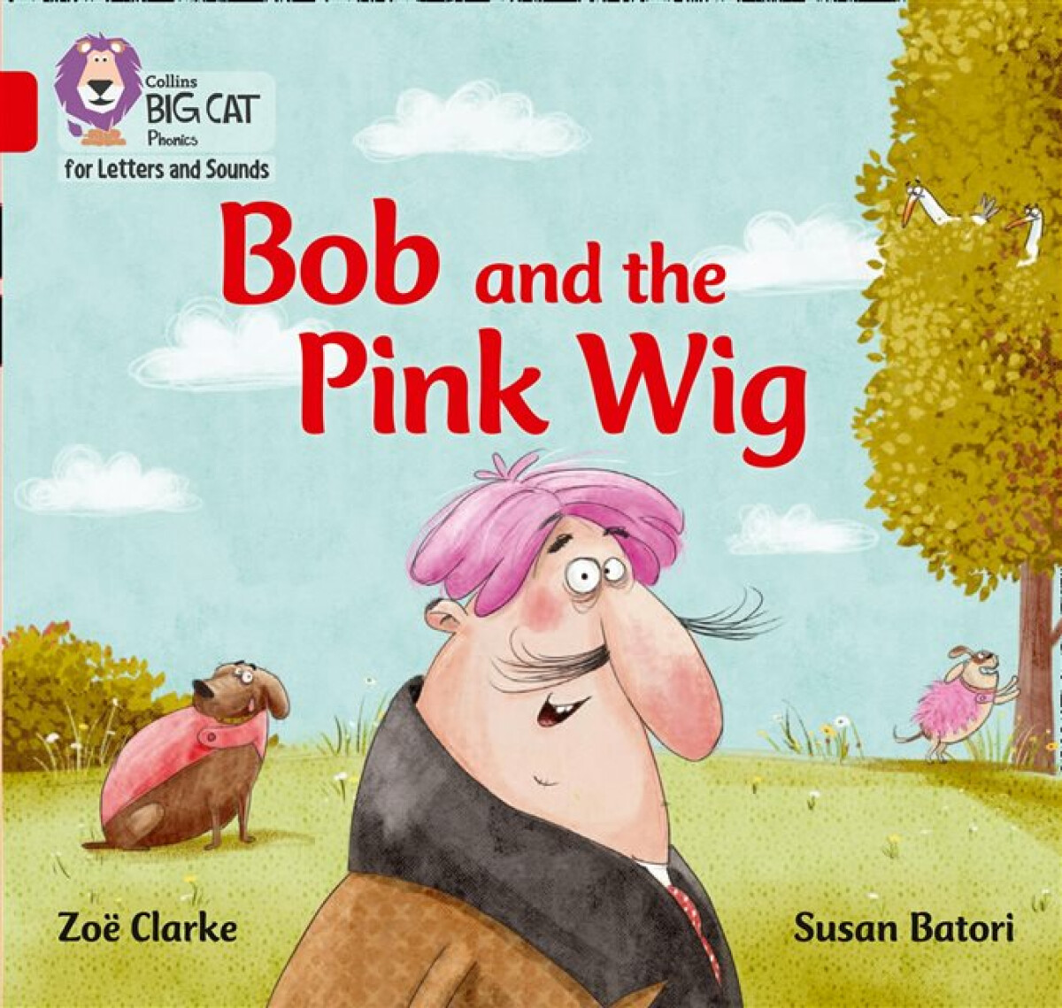 Kniha Bob and the Pink Wig
