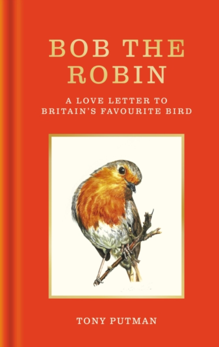 Kniha Bob the Robin