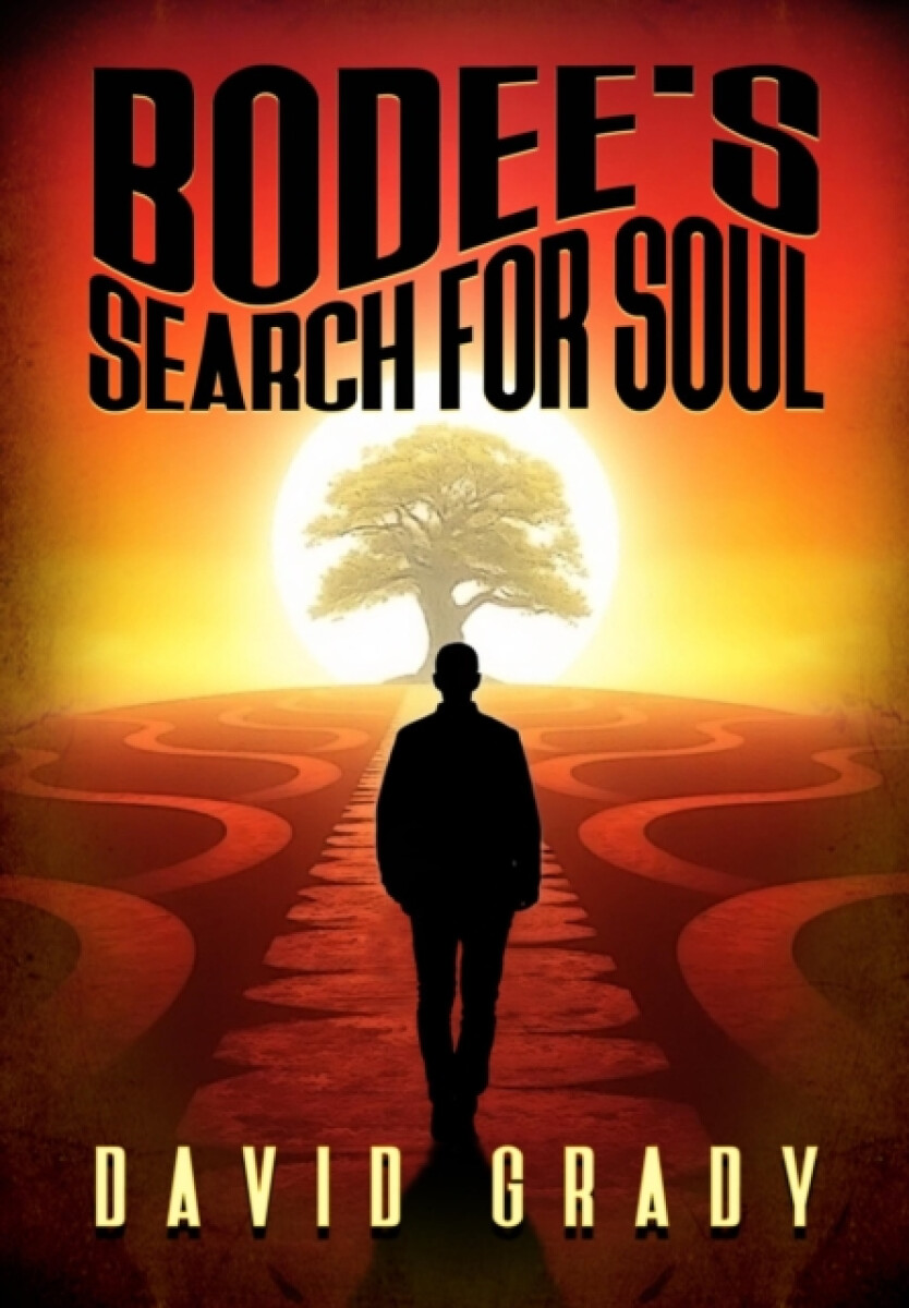 Kniha Bodee's Search for Soul