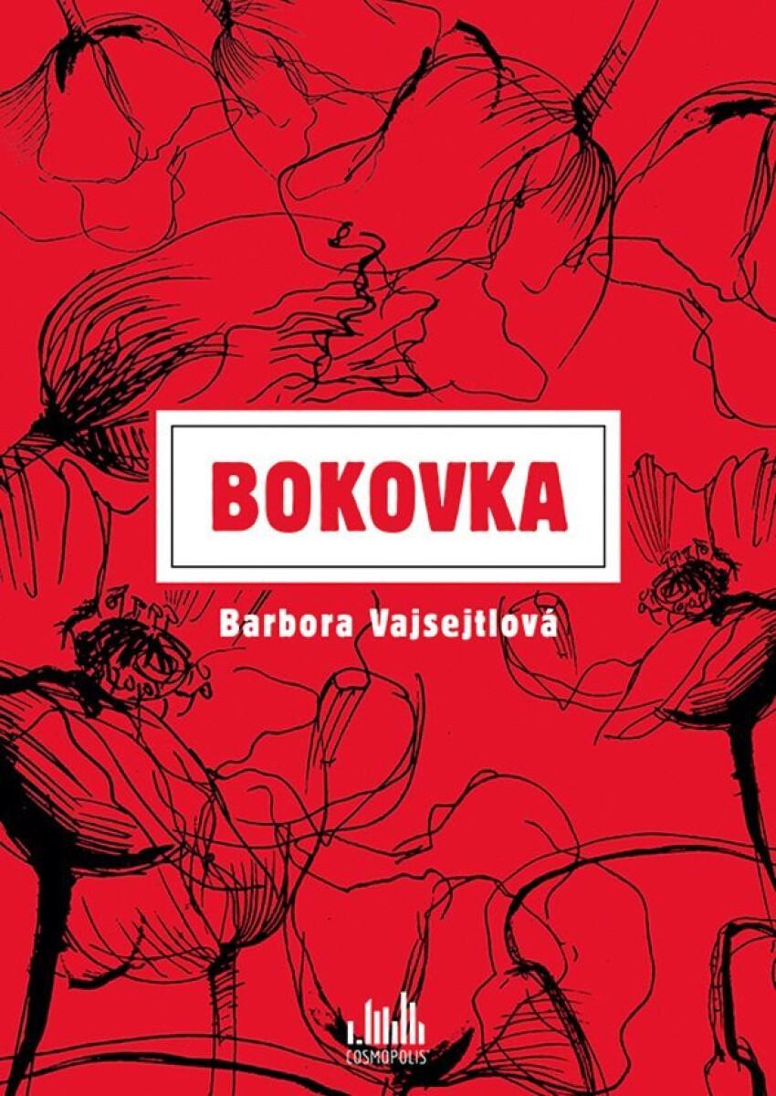 Kniha Bokovka