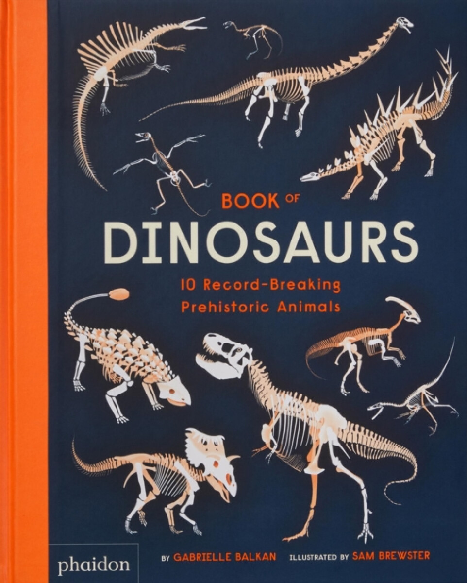 Kniha Book of Dinosaurs