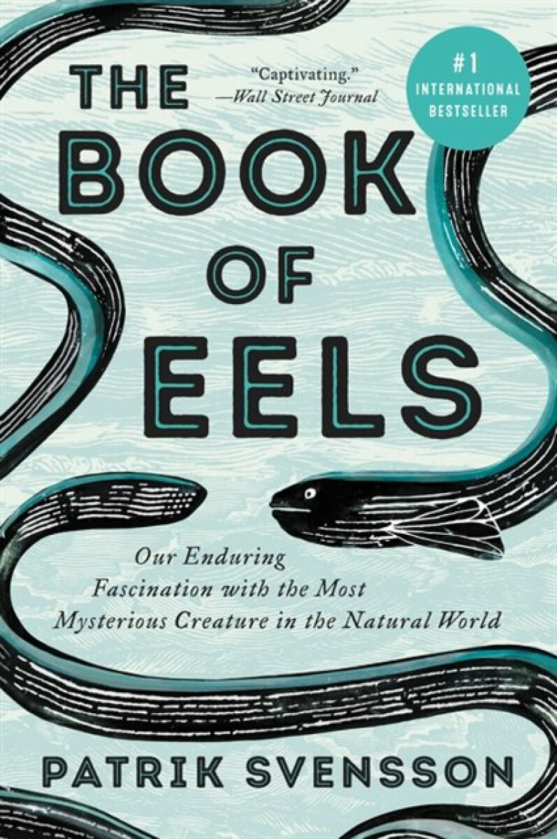 Kniha Book of Eels