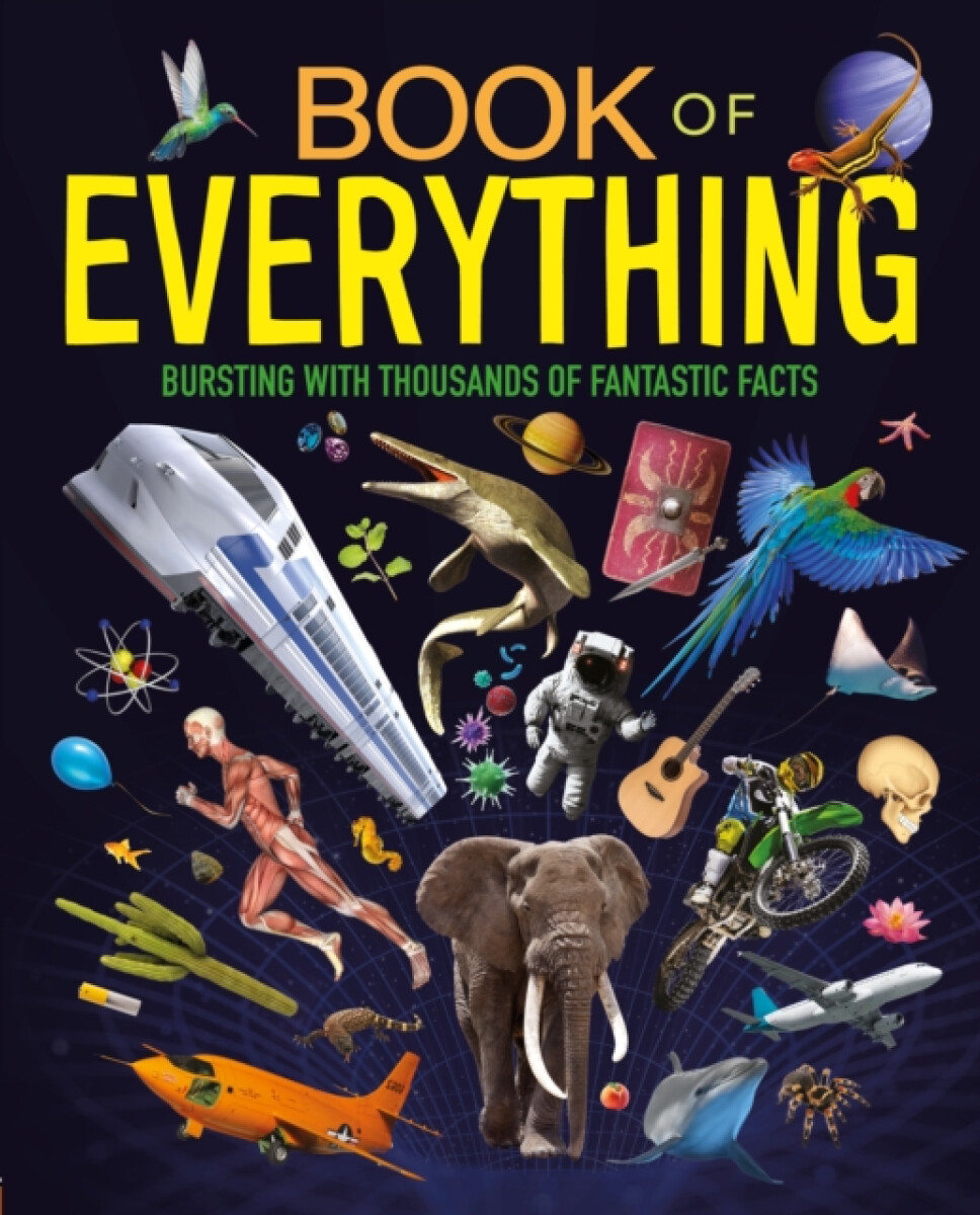 Kniha Book of Everything