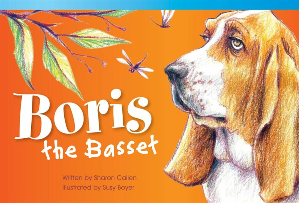 Kniha Boris the Bassett