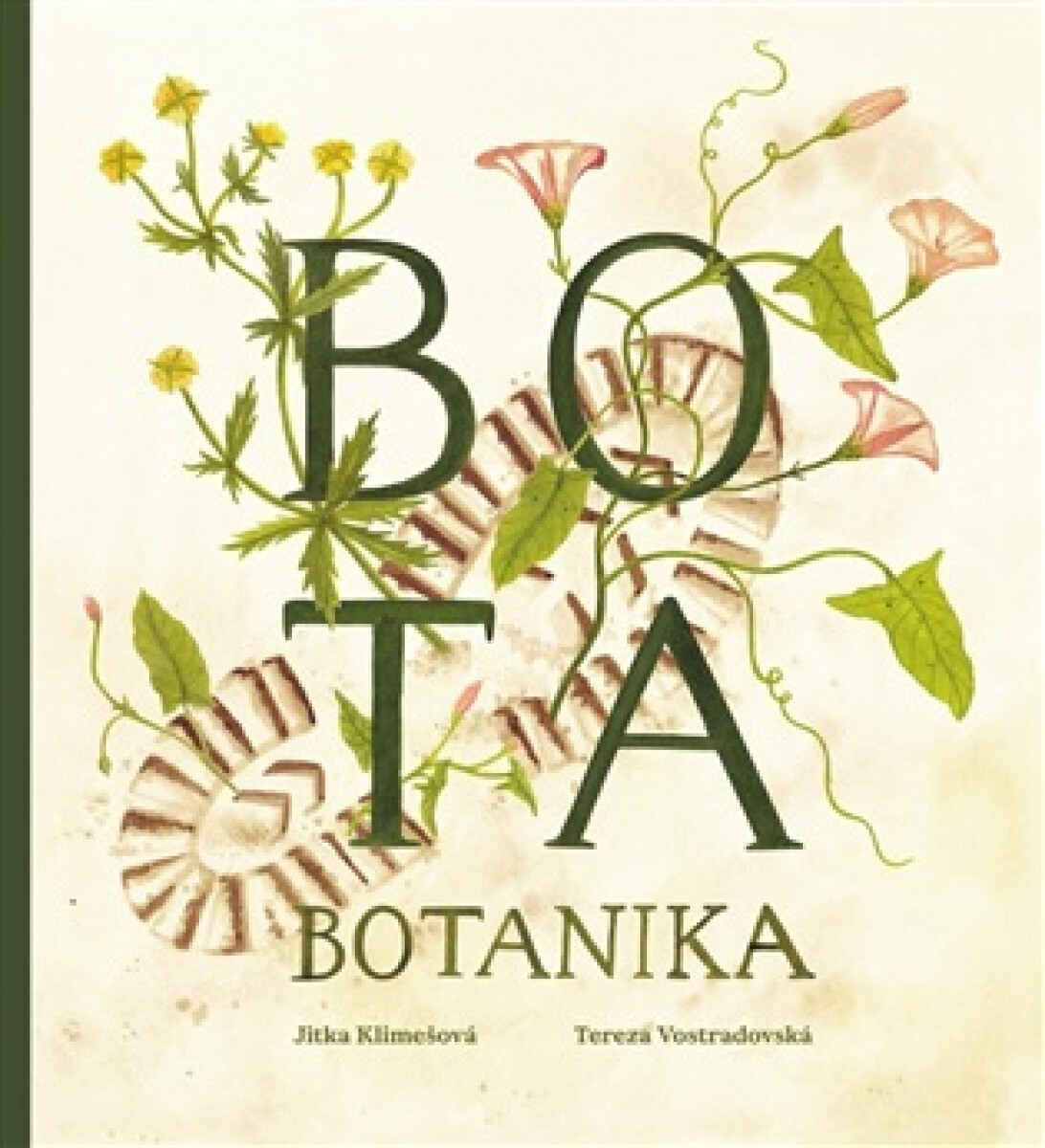 Kniha Bota botanika