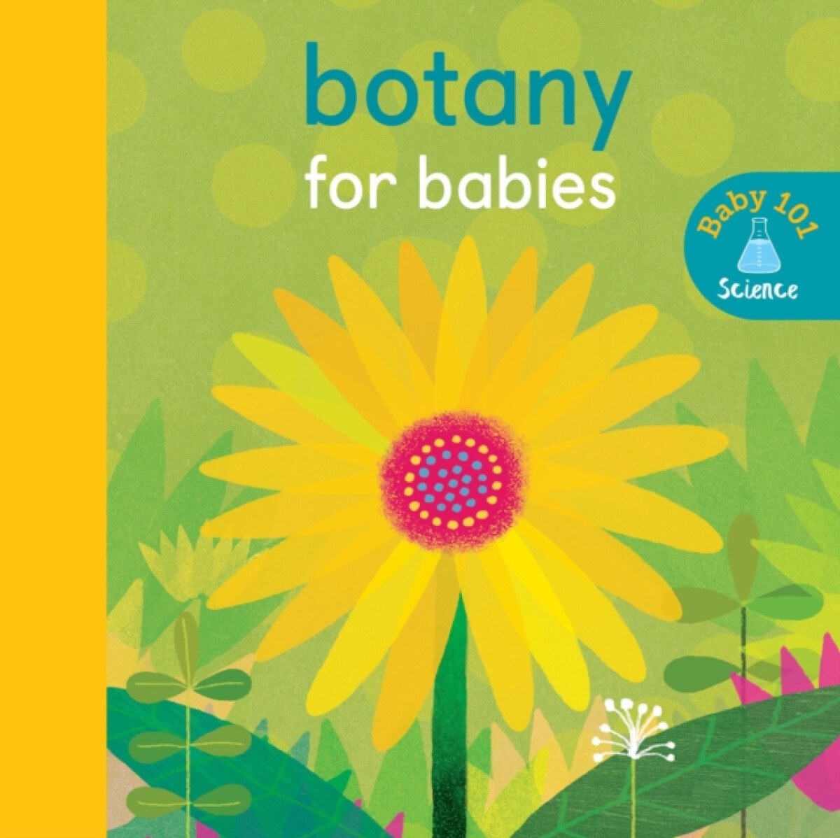 Kniha Botany for Babies