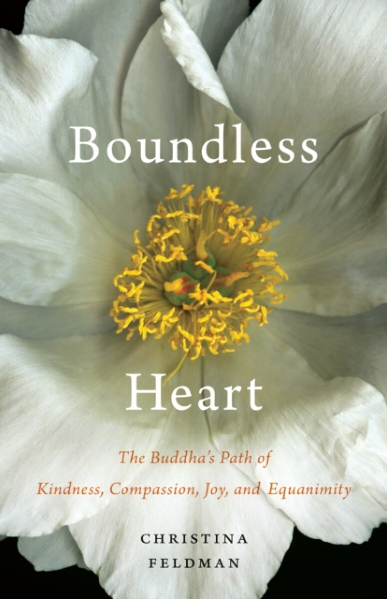 Kniha Boundless Heart