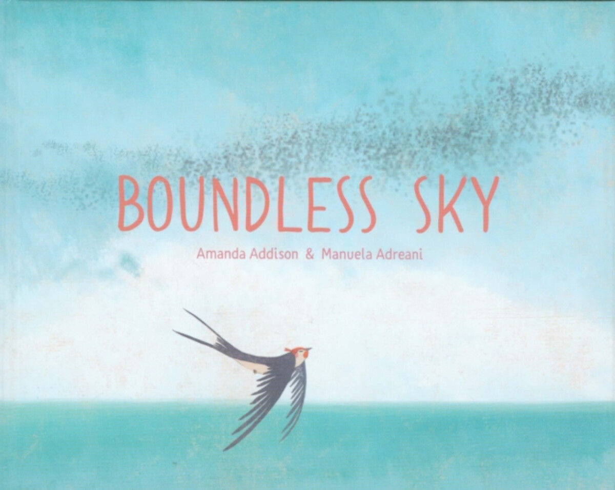 Kniha Boundless Sky