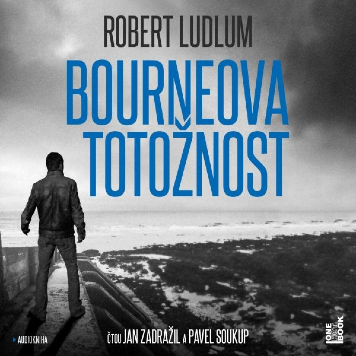 Levně Bourneova totožnost - Robert Ludlum - audiokniha