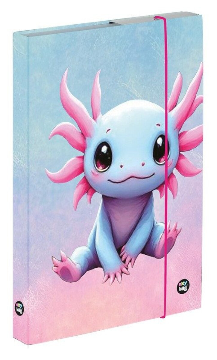 Box na sešity A4 Axolotl