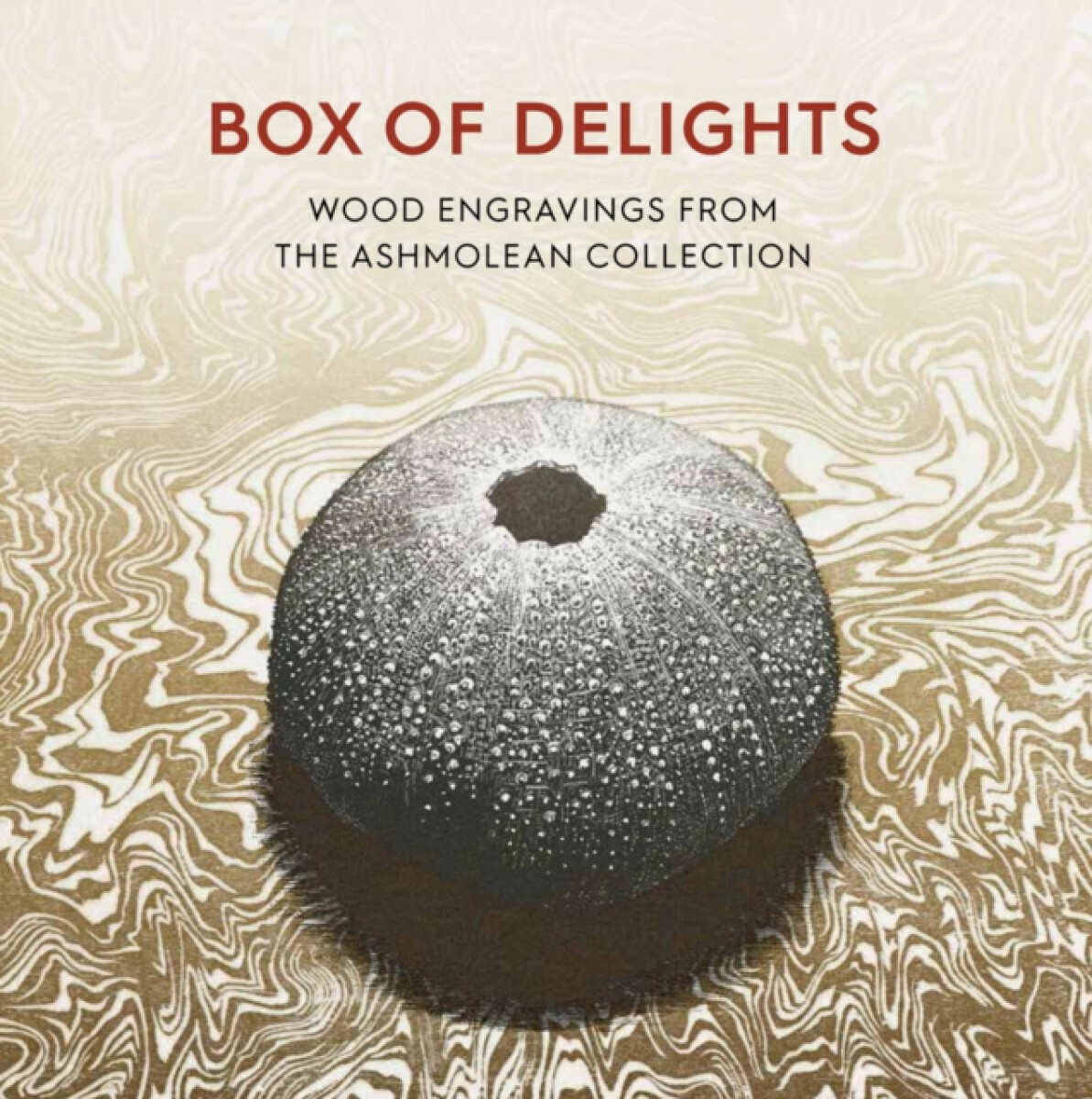 Kniha Box of Delights
