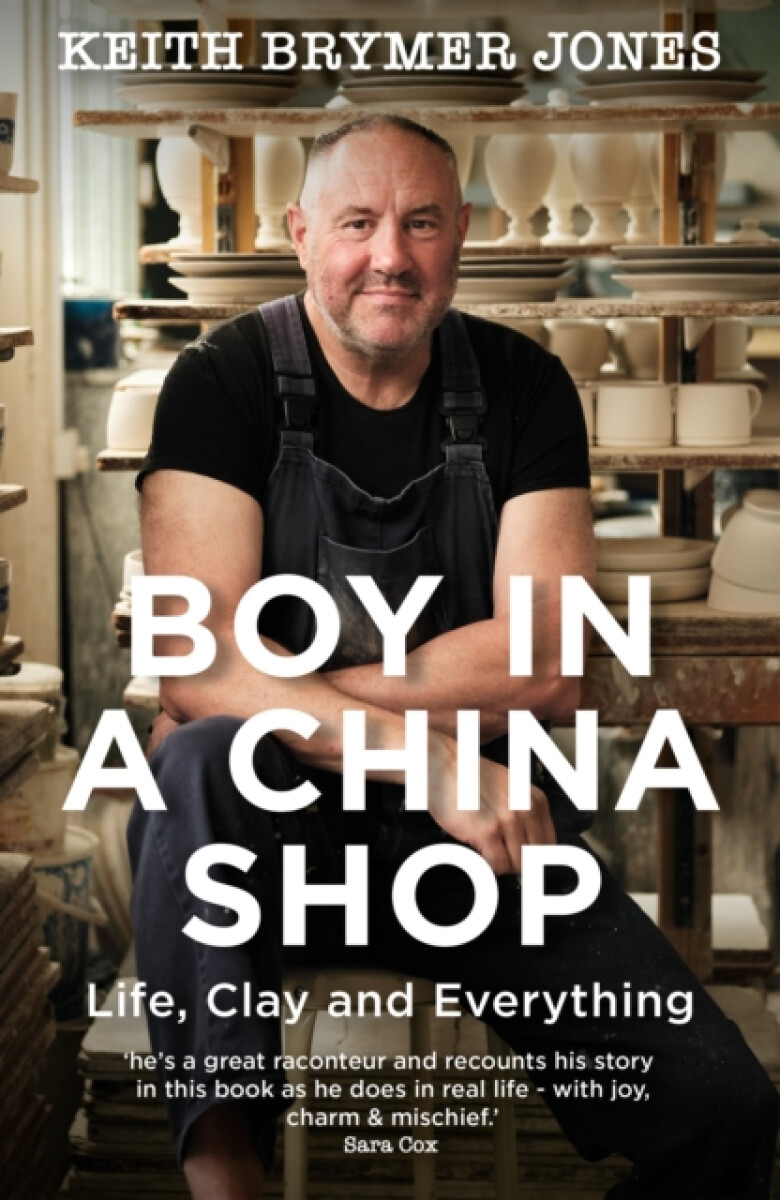 Kniha Boy in a China Shop