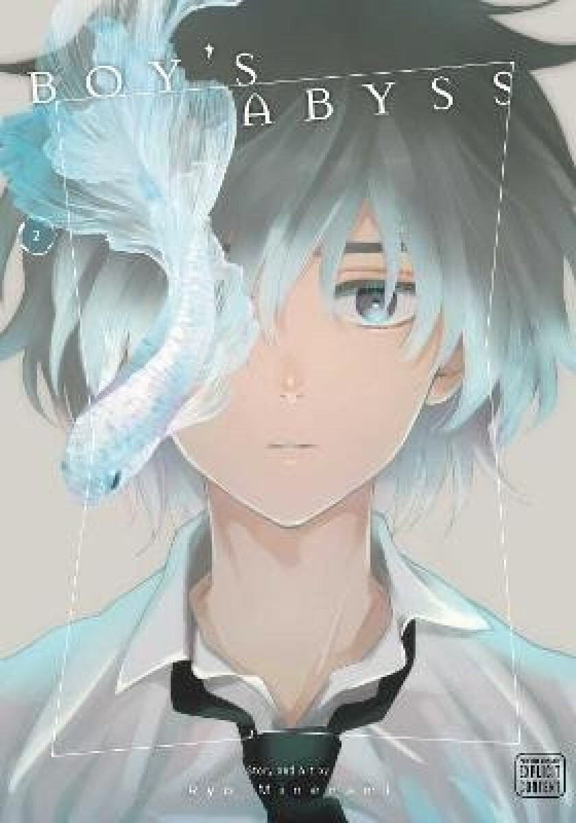 Kniha Boy's Abyss 2