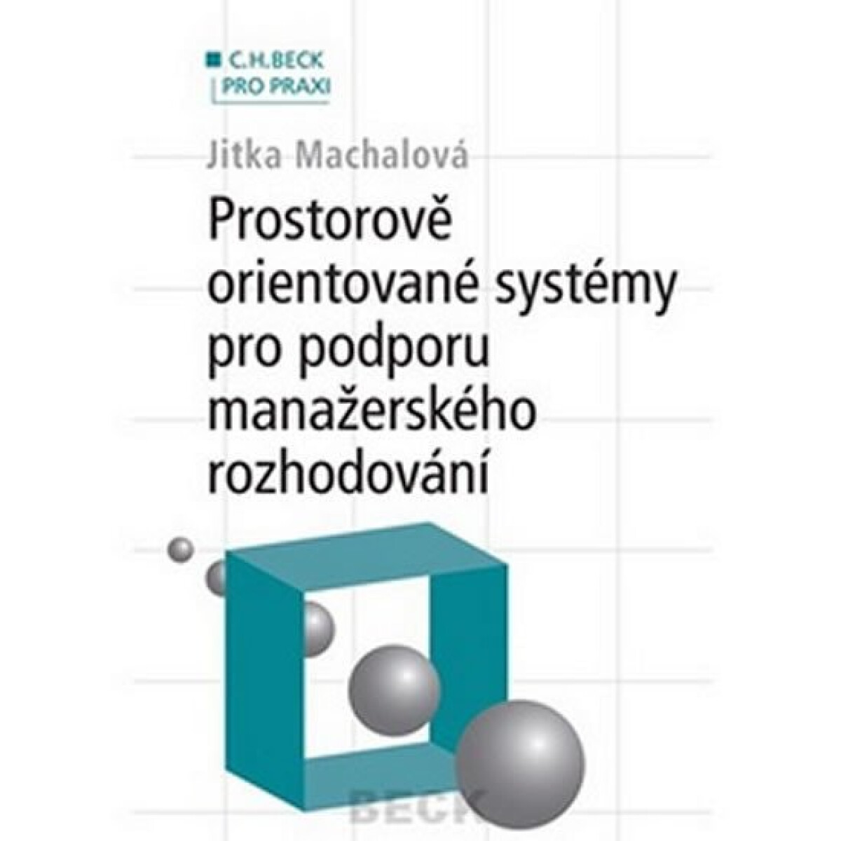 Prostorově orientované systémy pro podporu manažerského rozhodování (poškozená)
