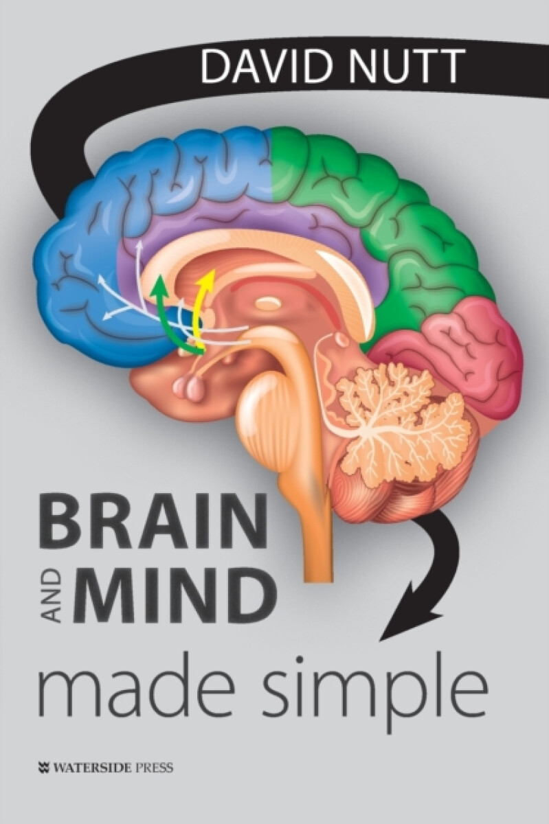 Kniha Brain and Mind Made Simple