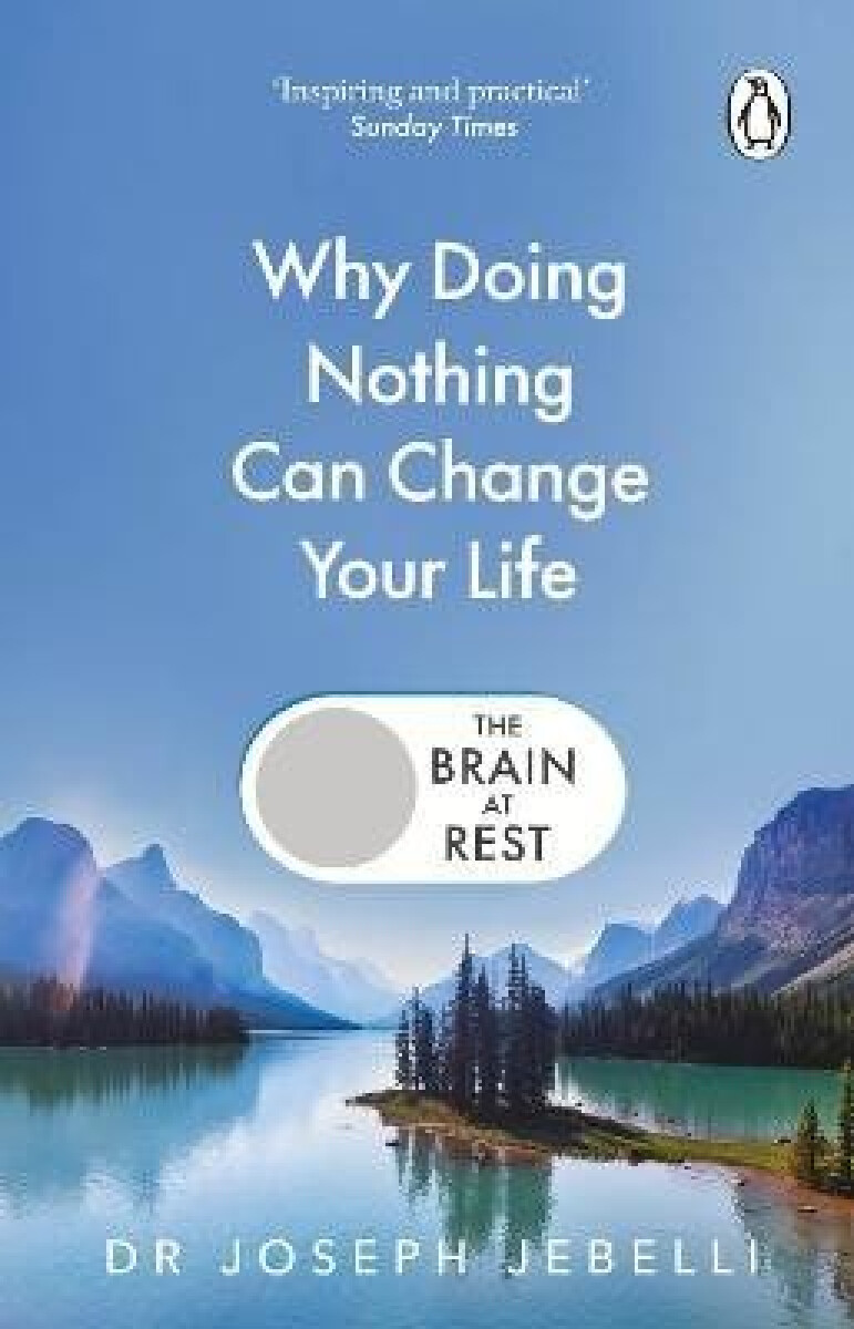 Kniha Brain at Rest