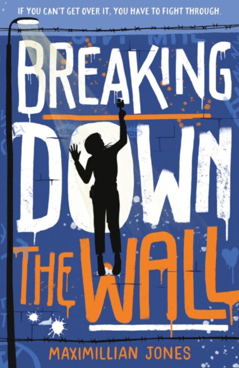 Kniha Breaking Down The Wall