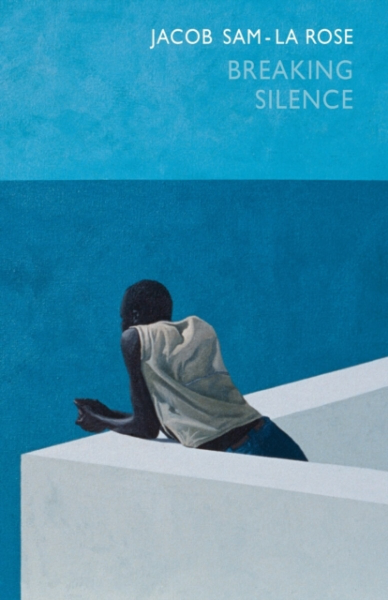 Kniha Breaking Silence