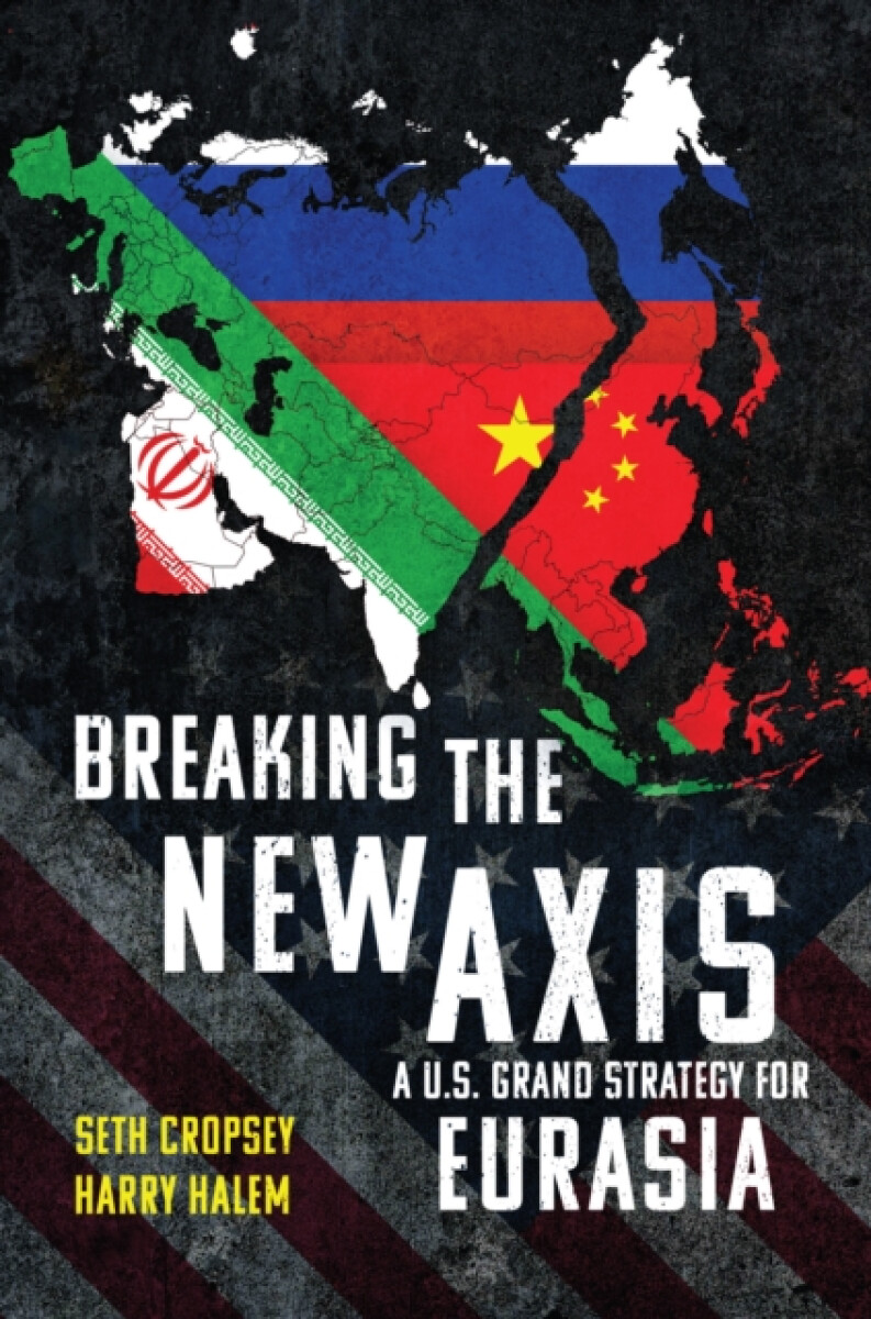 Kniha Breaking the New Axis