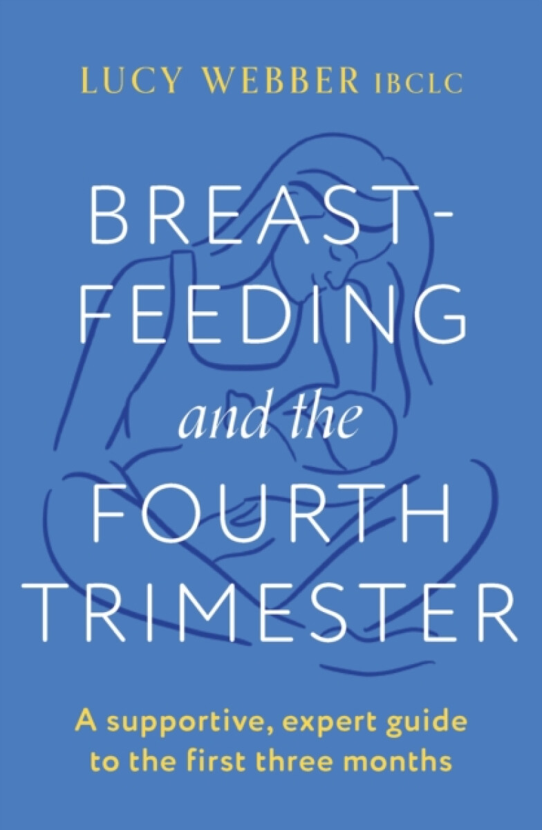 Kniha Breastfeeding and the Fourth Trimester