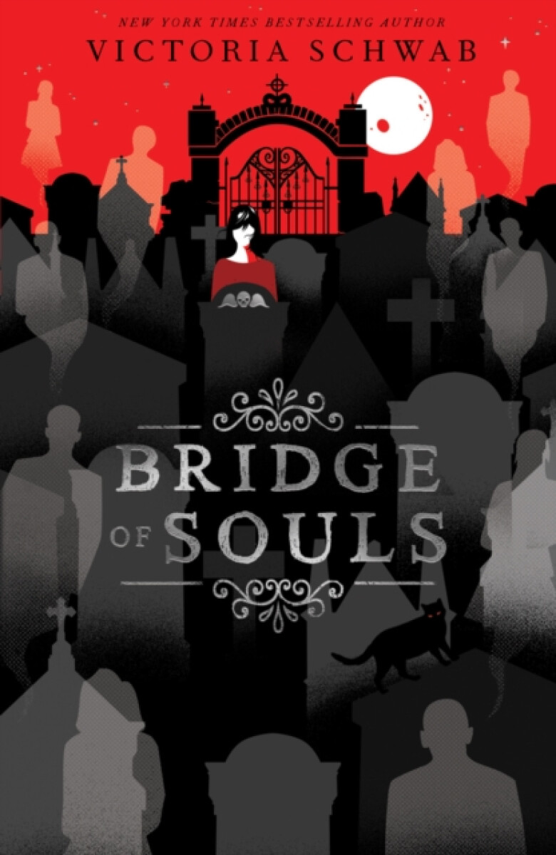 Kniha Bridge of Souls