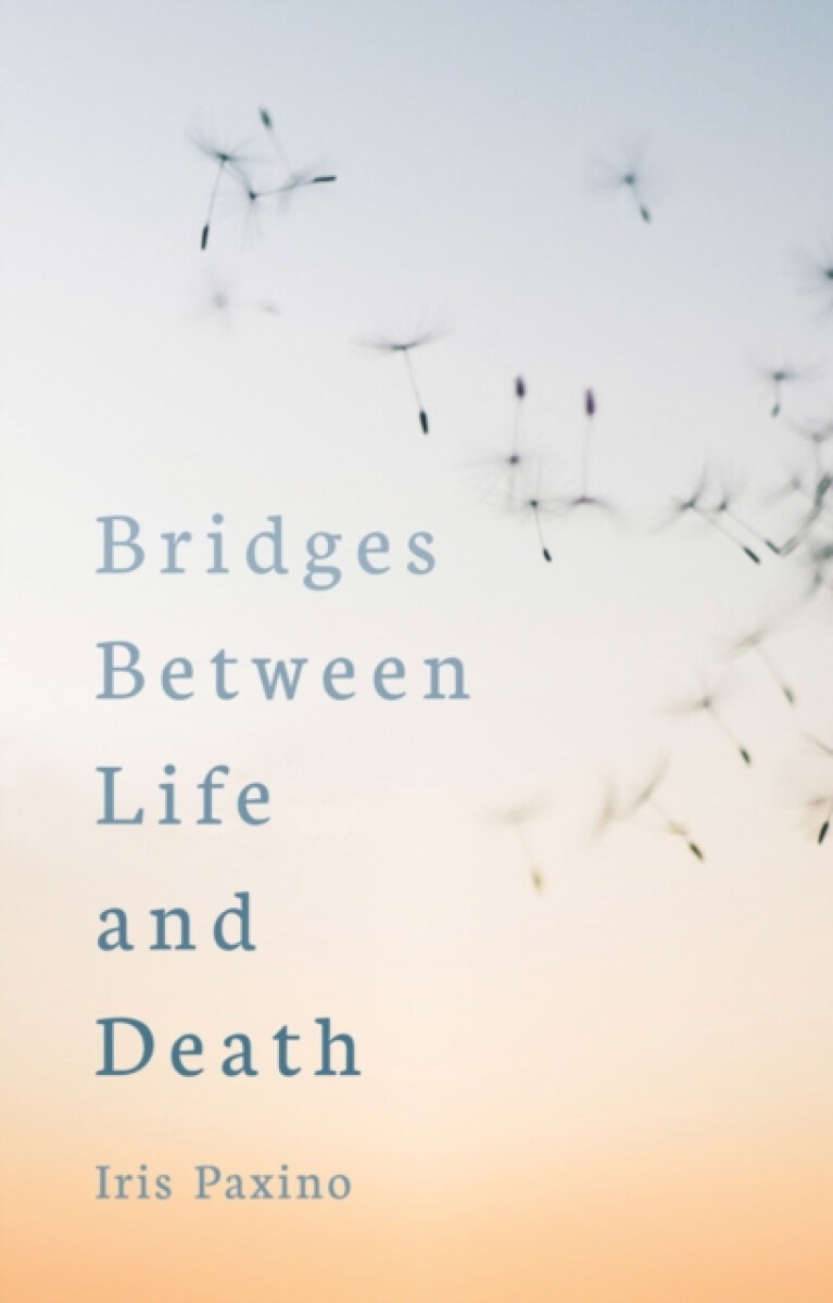 Kniha Bridges Between Life and Death