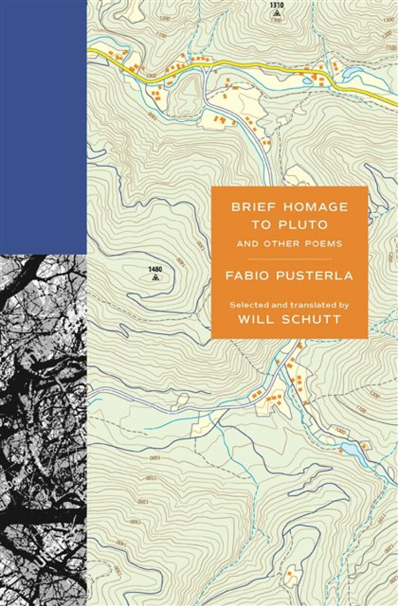Kniha Brief Homage to Pluto and Other Poems