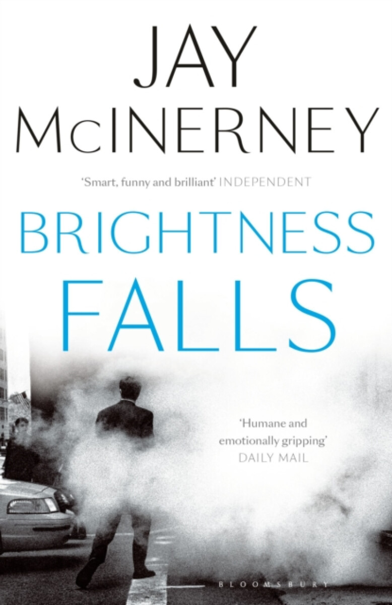Kniha Brightness Falls