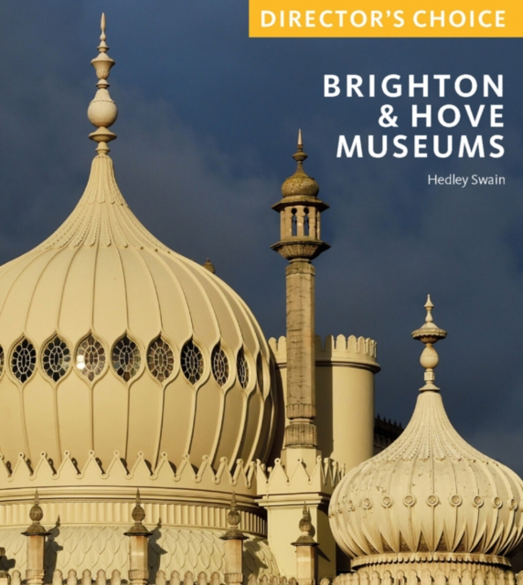 Kniha Brighton a Hove Museums