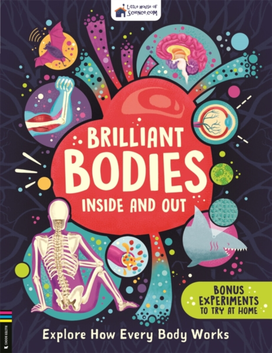 Brilliant Bodies Inside and Out - Little House of Science
