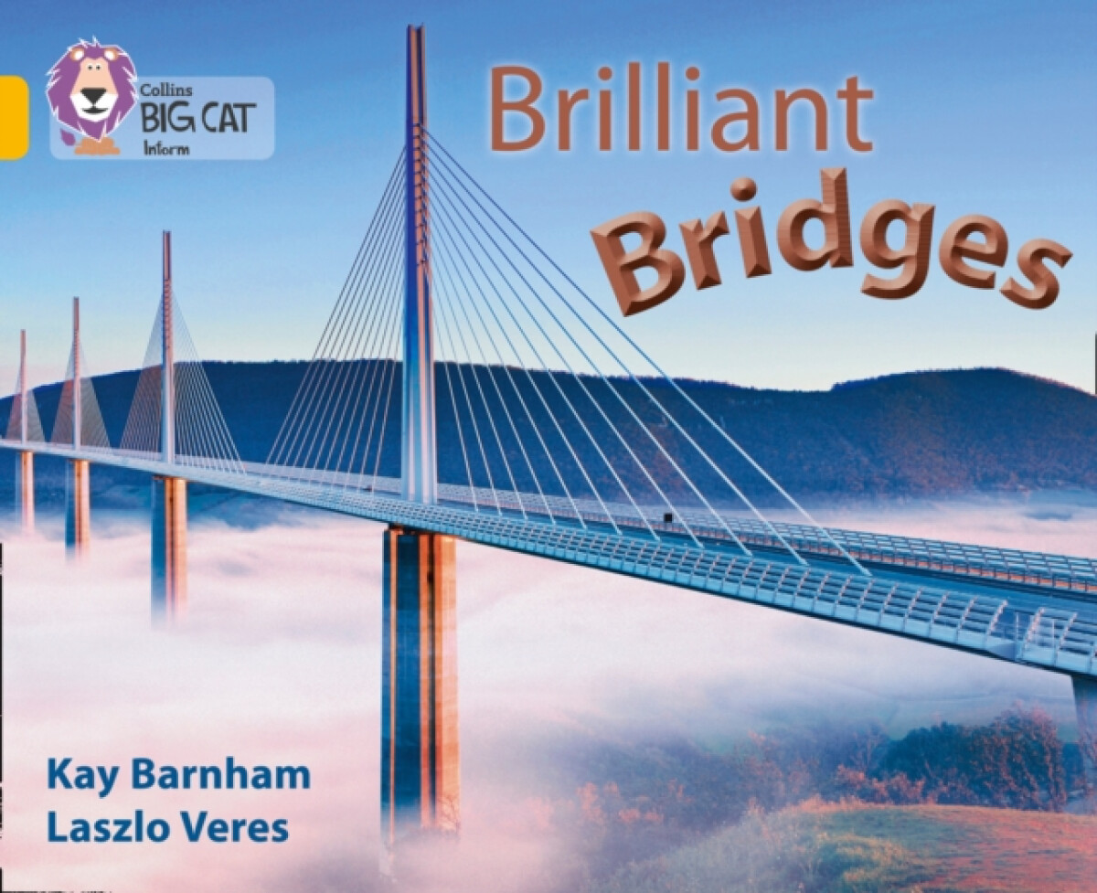 Kniha Brilliant Bridges