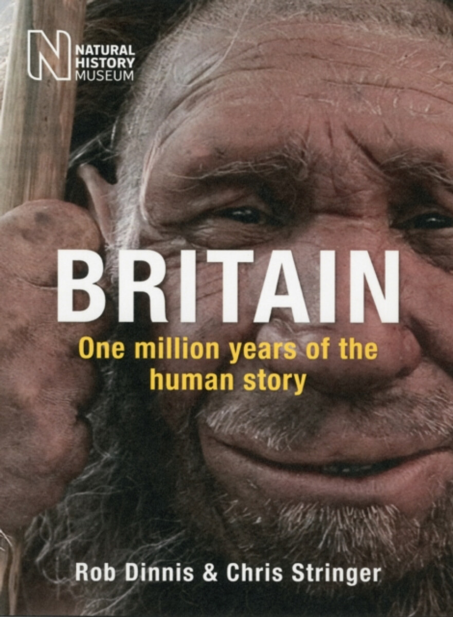 Kniha Britain: One Million Years of the Human Story