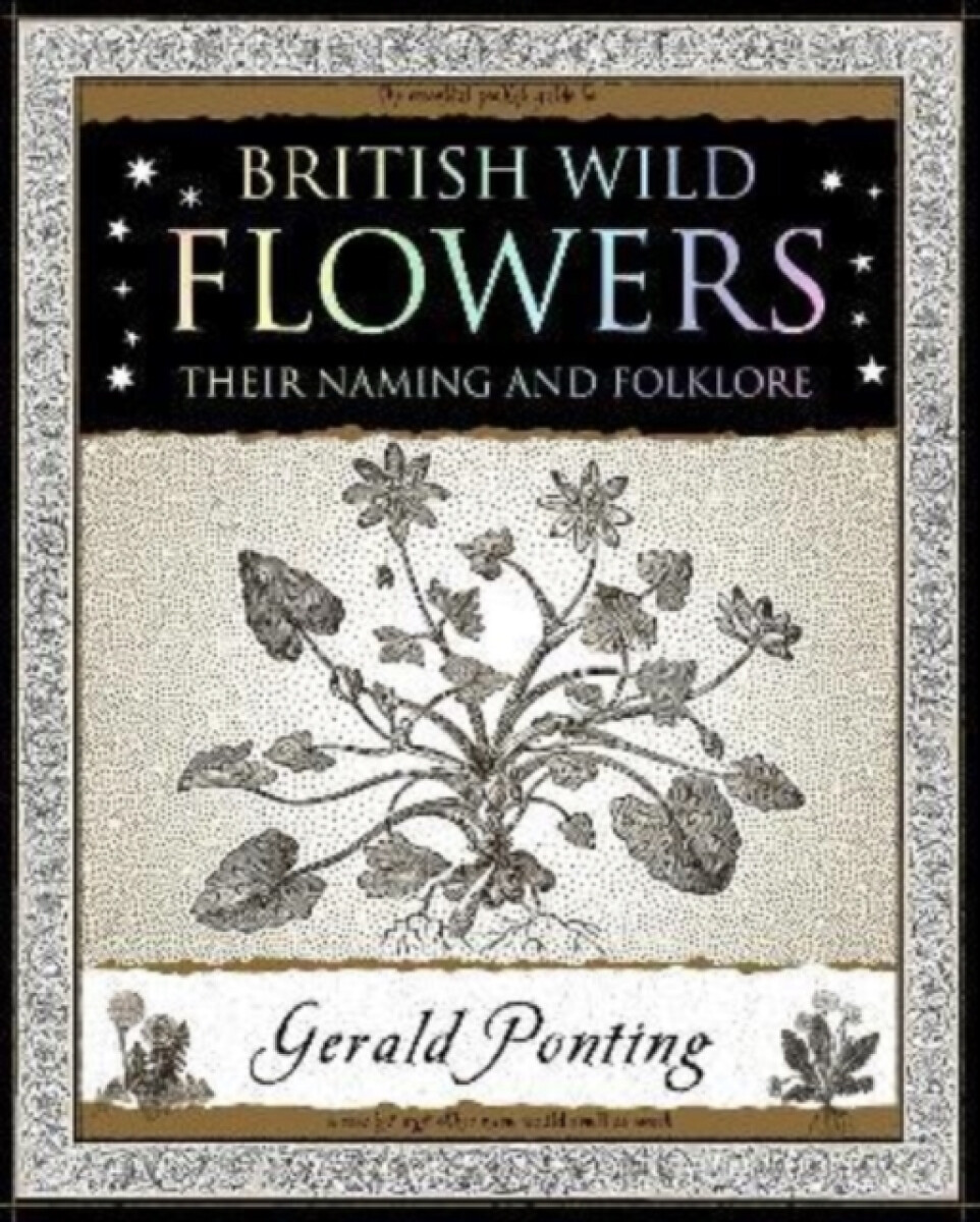 Kniha British Wild Flowers