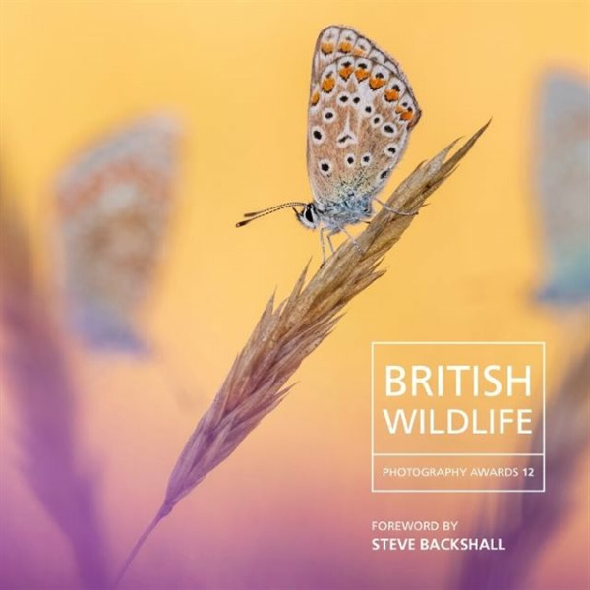 Kniha British Wildlife Photography Awards 12