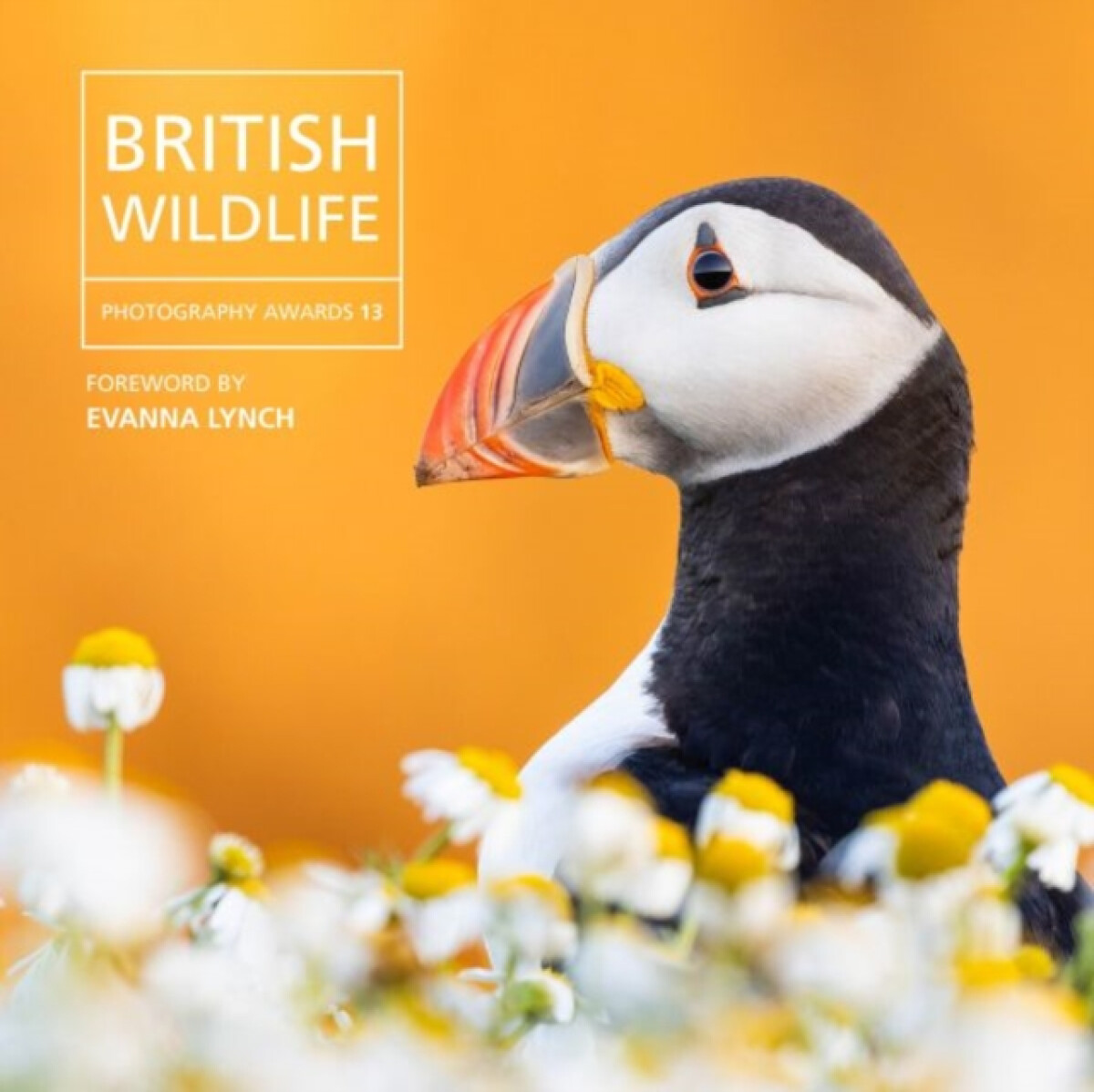 Kniha British Wildlife Photography Awards 13