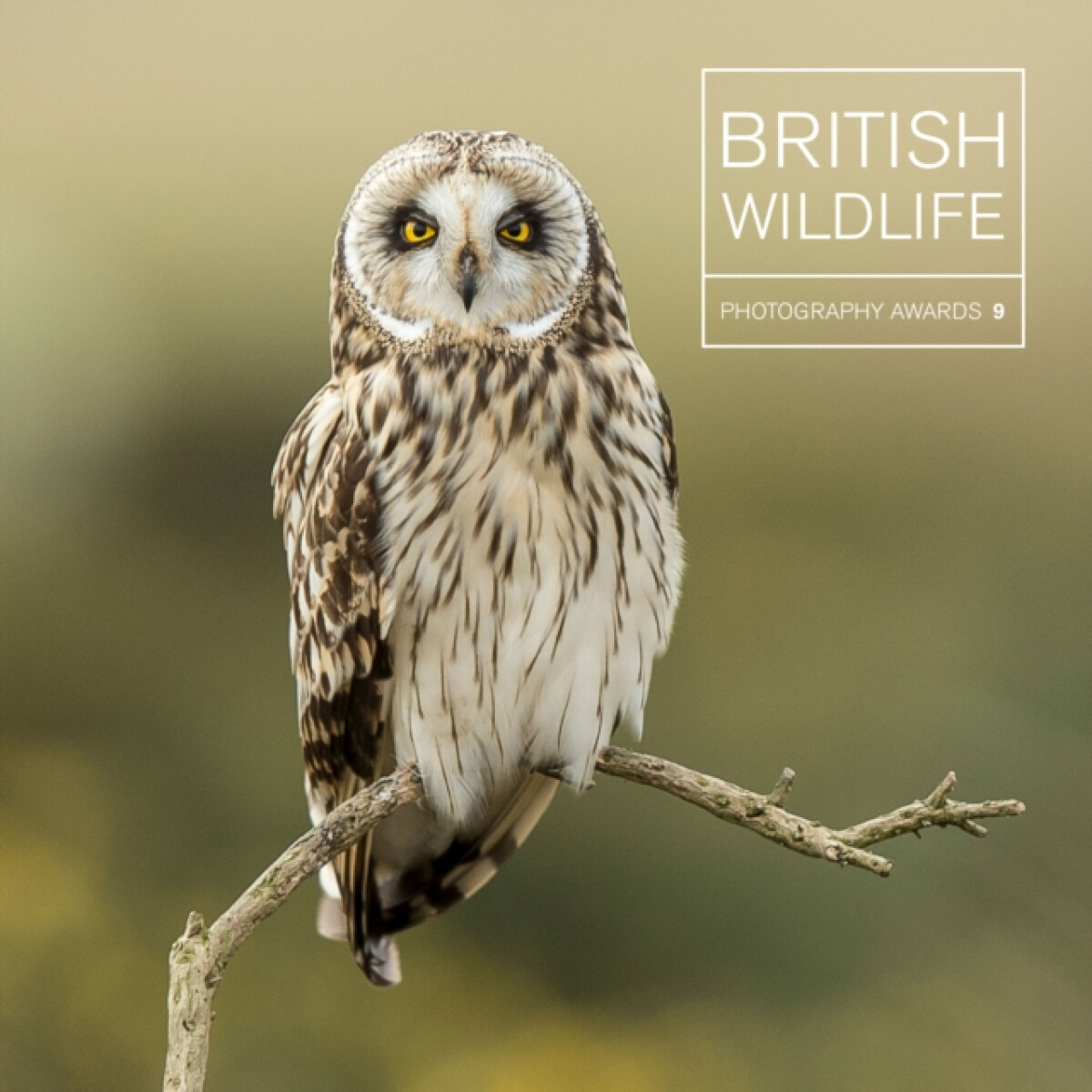 Kniha British Wildlife Photography Awards 9