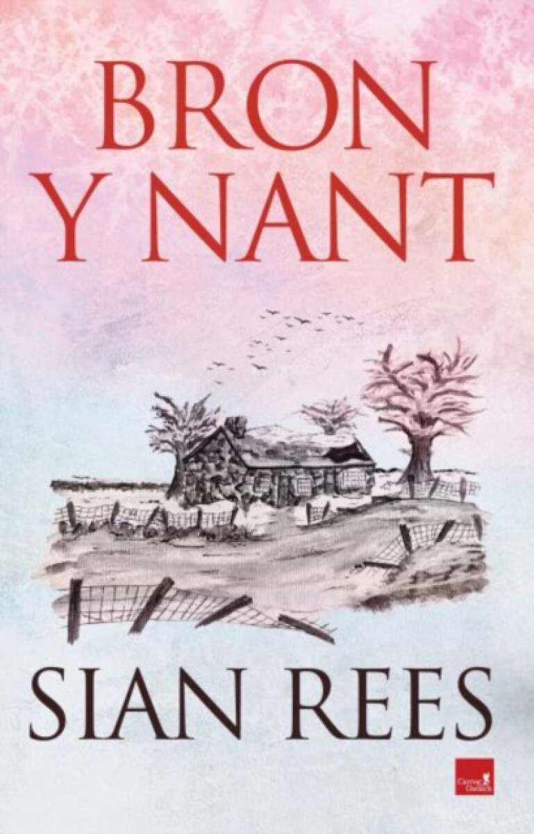 Kniha Bron y Nant