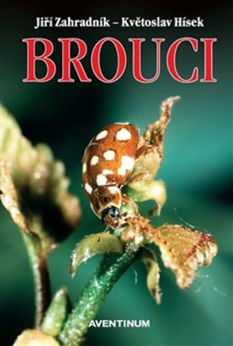 Brouci koupíte na Knihydobrovsky.cz