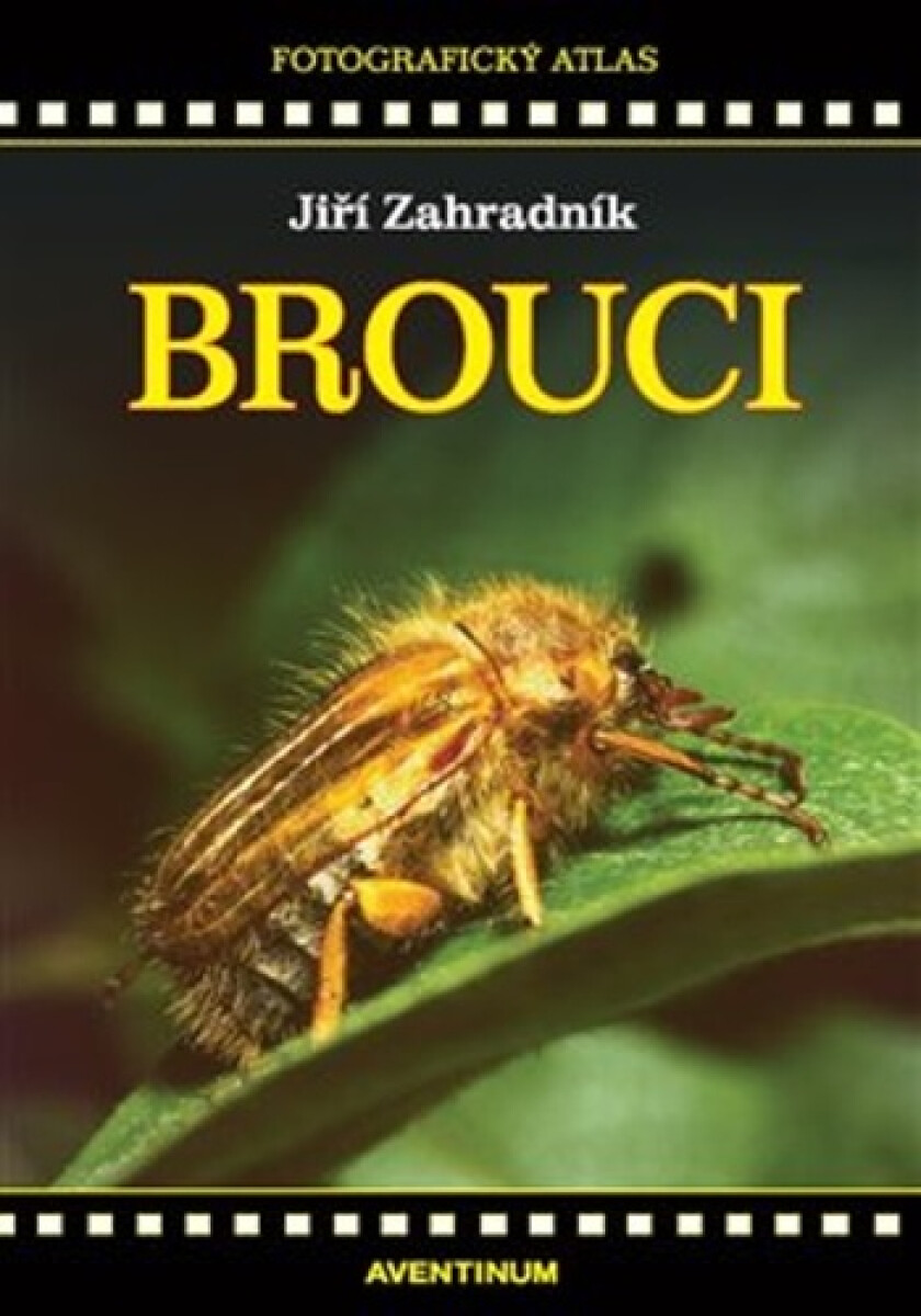 Kniha Brouci - Fotografický atlas